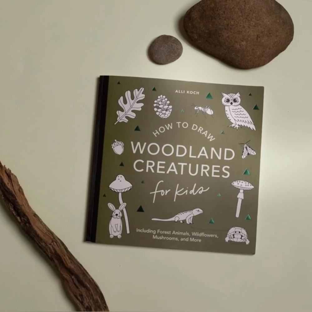 Alli Koch How to Draw Woodland Creatures Paper Back Book For 5+years New